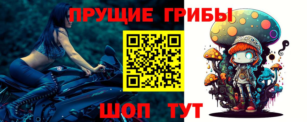 Домодедово  купить закладку  Вход с VPN  Псилоцибиновые грибы Psilocybe 